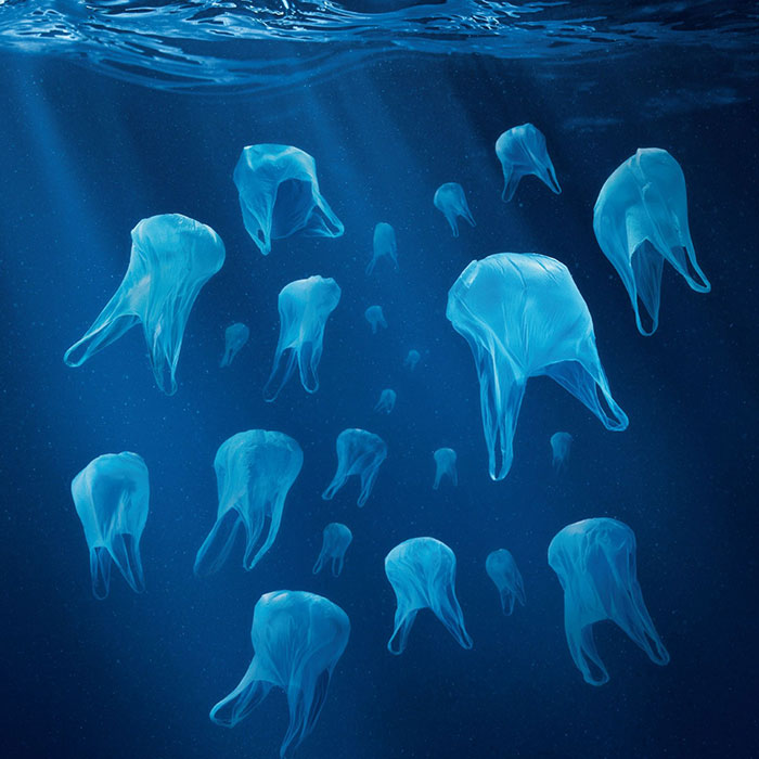 Das ist ein Alt-Text. Das ist ein Pflichtfeld.